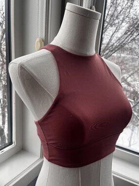 Lululemon High-Neck Longline Sports Bra | Dusty Rose | Size 4 | High Support